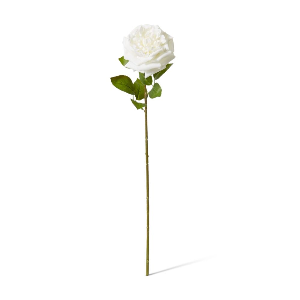 3PK E Style Rose Austin Stem Elegant Artificial Flower White 22x14x66cm