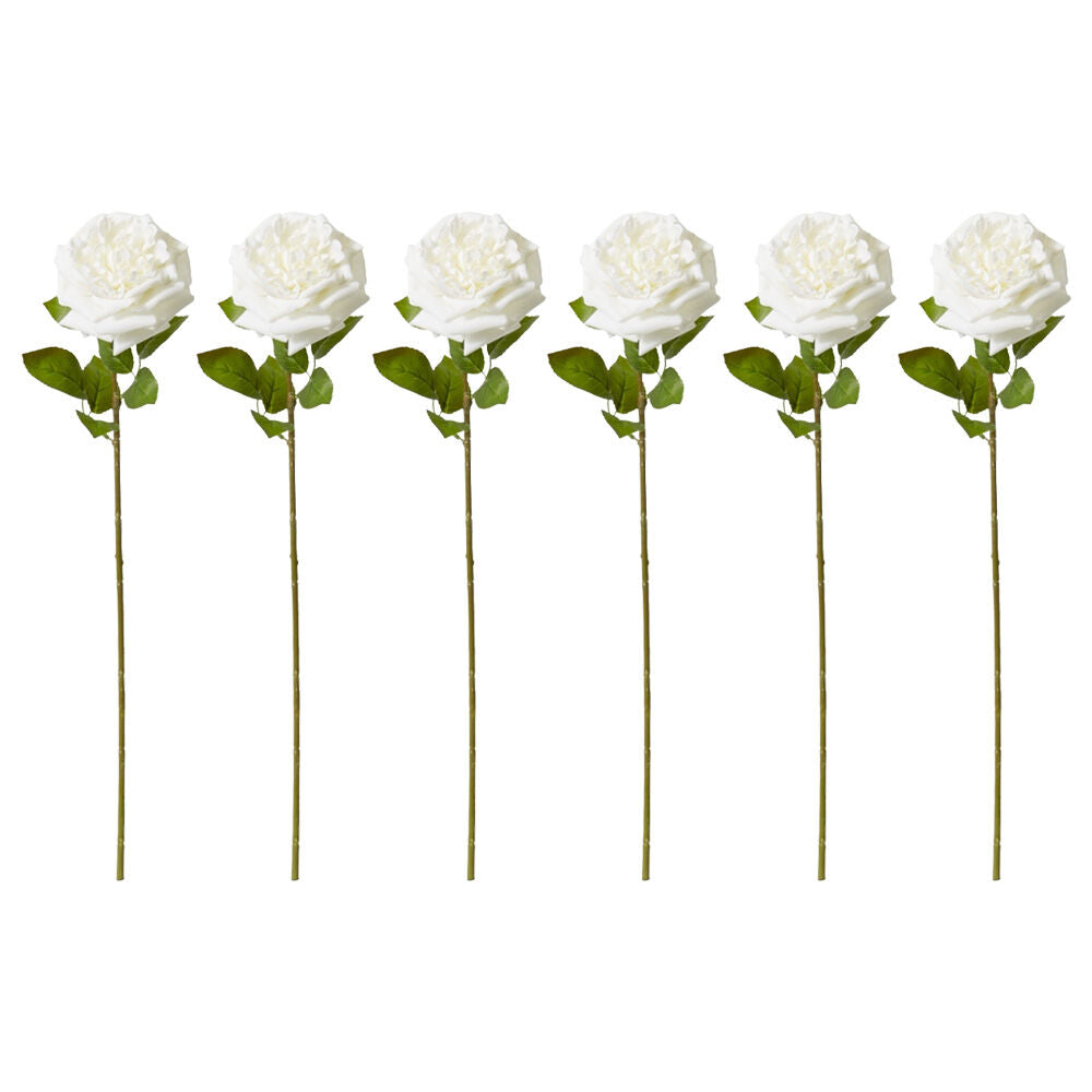 6PK E Style Rose Austin Stem Elegant Artificial Flower White 22x14x66cm