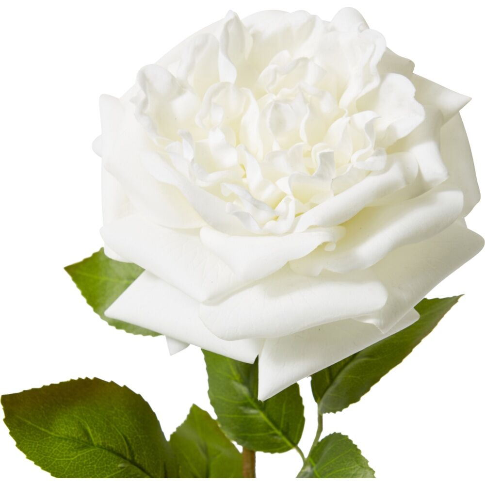 6PK E Style Rose Austin Stem Elegant Artificial Flower White 22x14x66cm