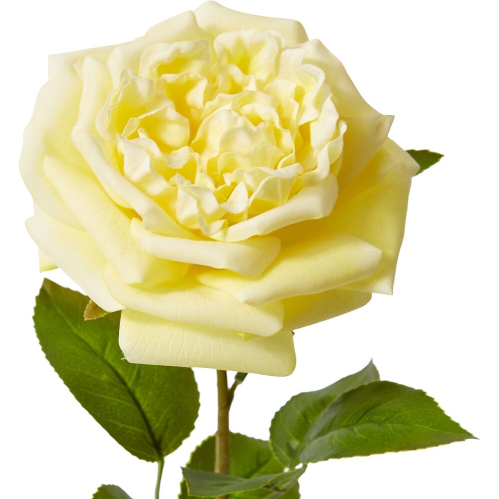 6PK E Style Rose Austin Stem Elegant Artificial Flower Yellow 22x14x66cm