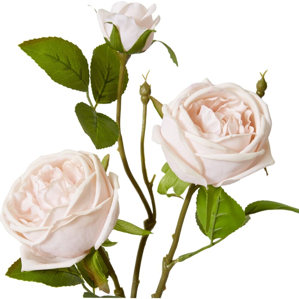 4PK E Style Rose Austin Spray Elegant Artificial Flower Blush Pink 24x16x78cm