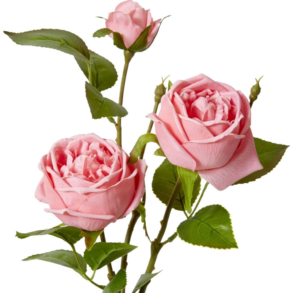 2PK E Style Rose Austin Spray Elegant Artificial Flower Dark Pink 24x16x78cm
