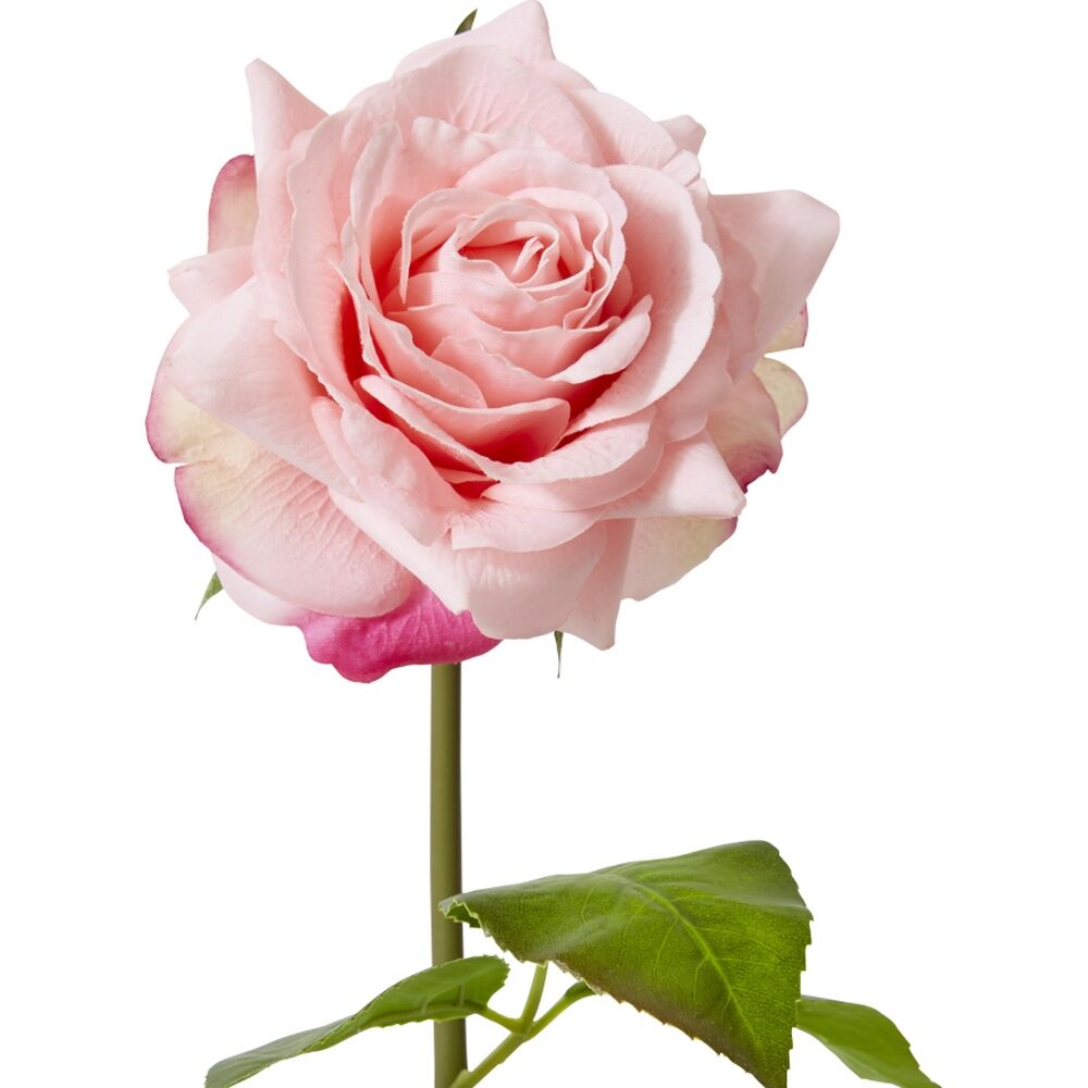 6PK E Style Rose Rambler Short Stem Artificial Flower Pink 14x12x45cm