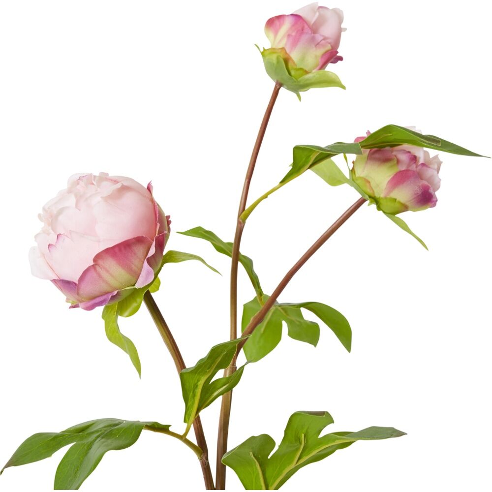 4PK E Style Peony Bud Spray Artificial Flower Stem Blush Pink 25x25x62cm
