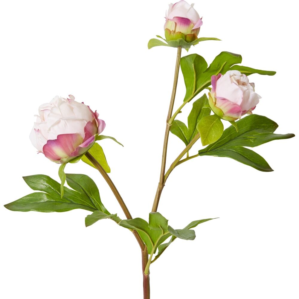 4PK E Style Peony Bud Spray Artificial Flower Stem Pink 25x25x62cm