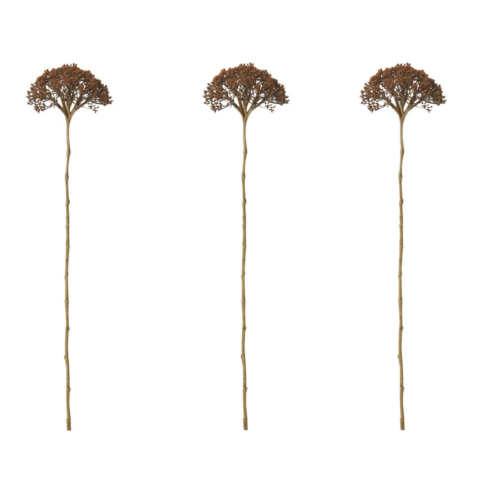 3PK E Style Queen Ann Lace Stem Artificial Flower Decoration Brown 12x11x53cm