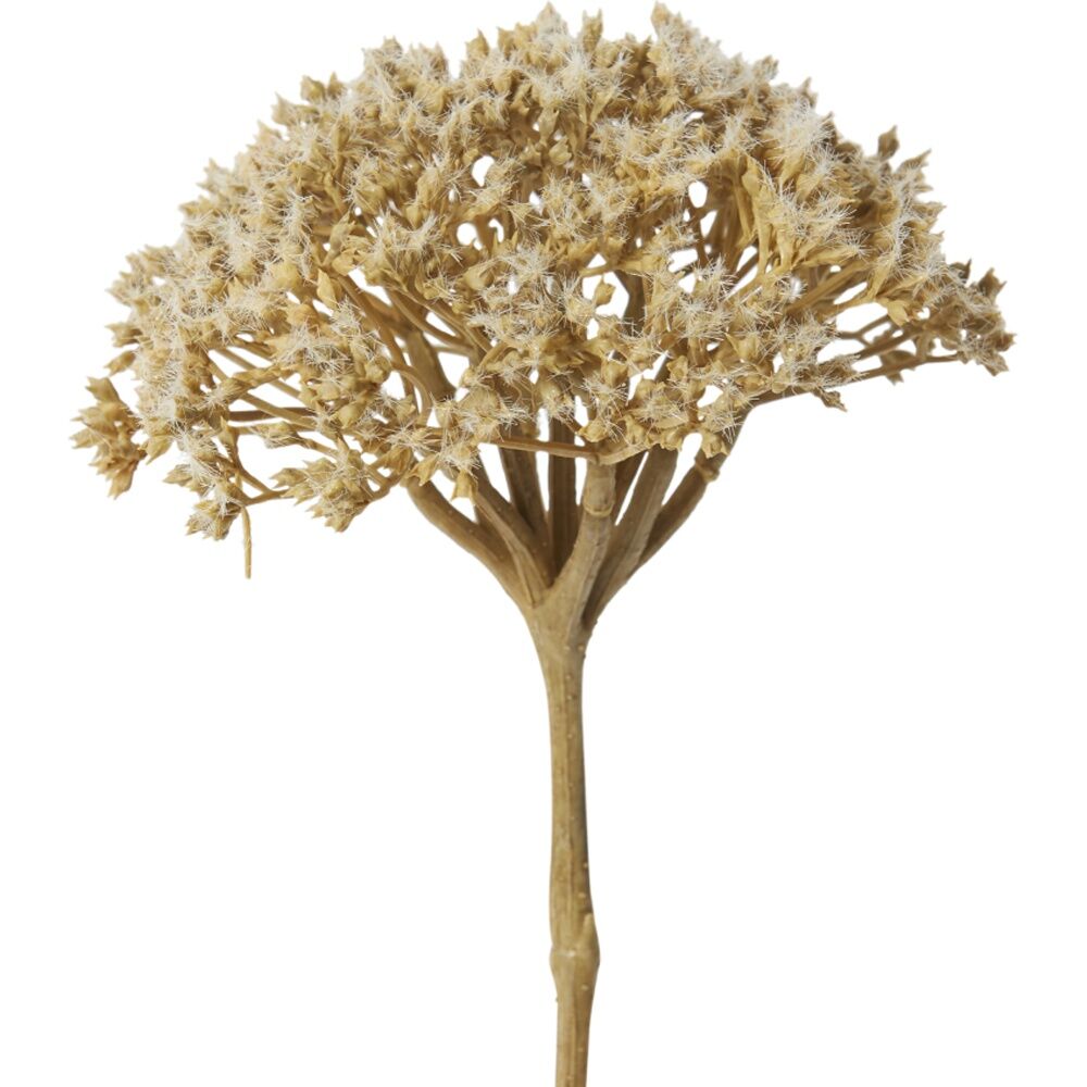 6PK E Style Queen Ann Lace Stem Artificial Flower Light Brown 12x11x53cm