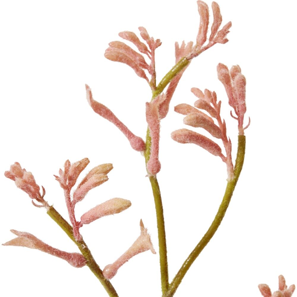 4PK E Style Kangaroo Paw Spray Artificial Plant Flower Stem Pink 26x9x78cm