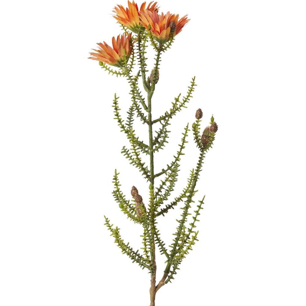 2PK E Style Kaaps Flower Spray Artificial Plant Stem Orange 12x14x61cm