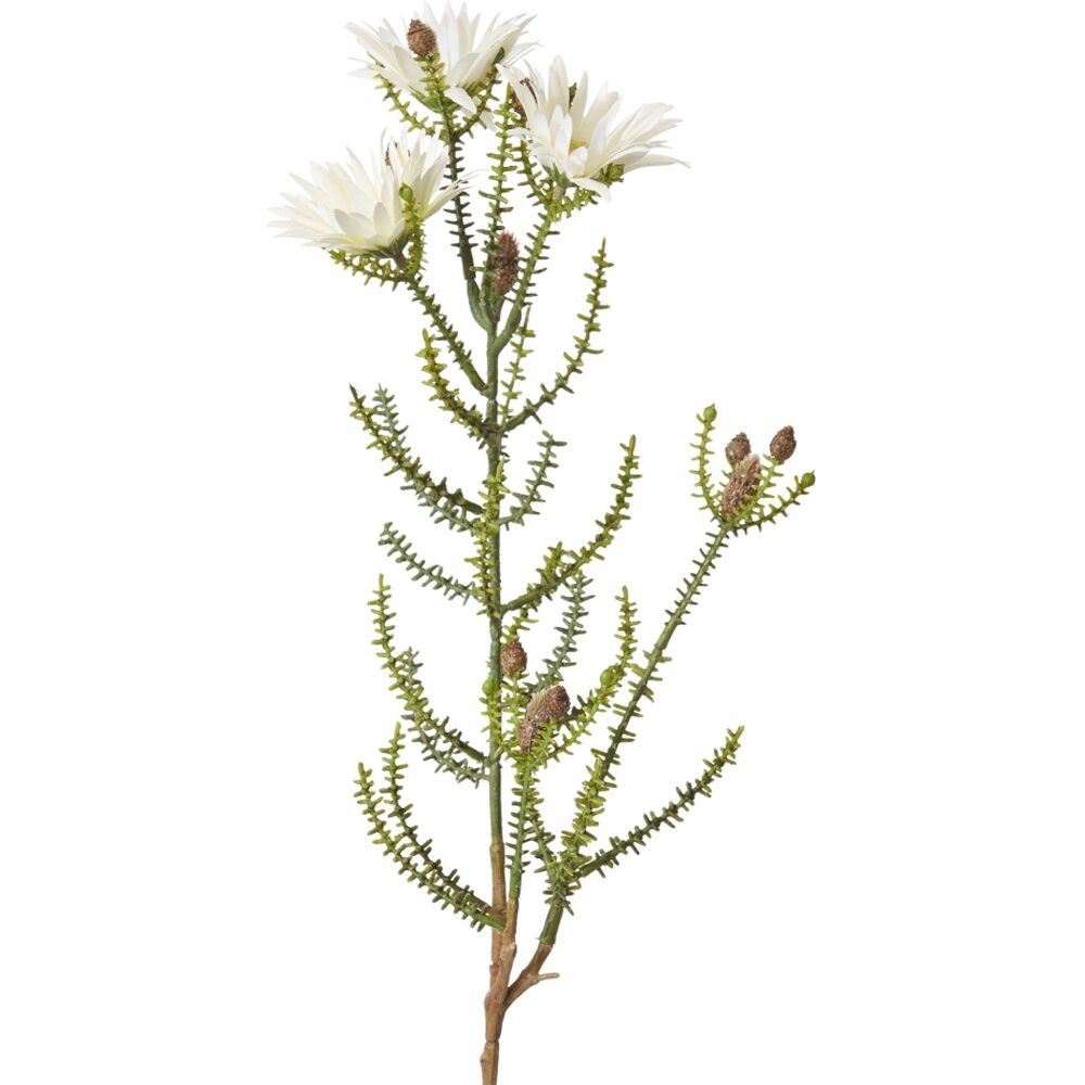 2PK E Style Kaaps Flower Spray Artificial Plant Stem White 12x14x61cm