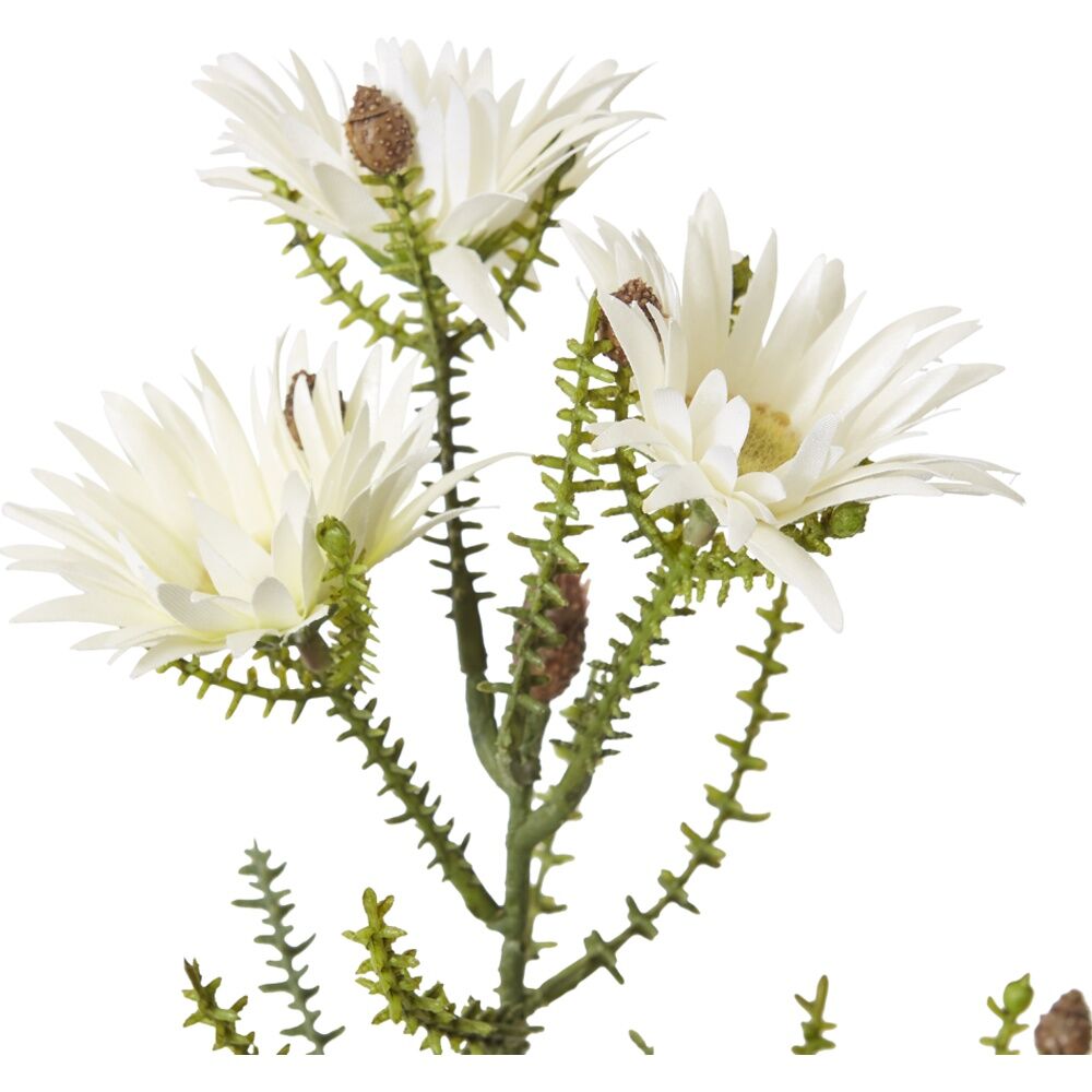 2PK E Style Kaaps Flower Spray Artificial Plant Stem White 12x14x61cm