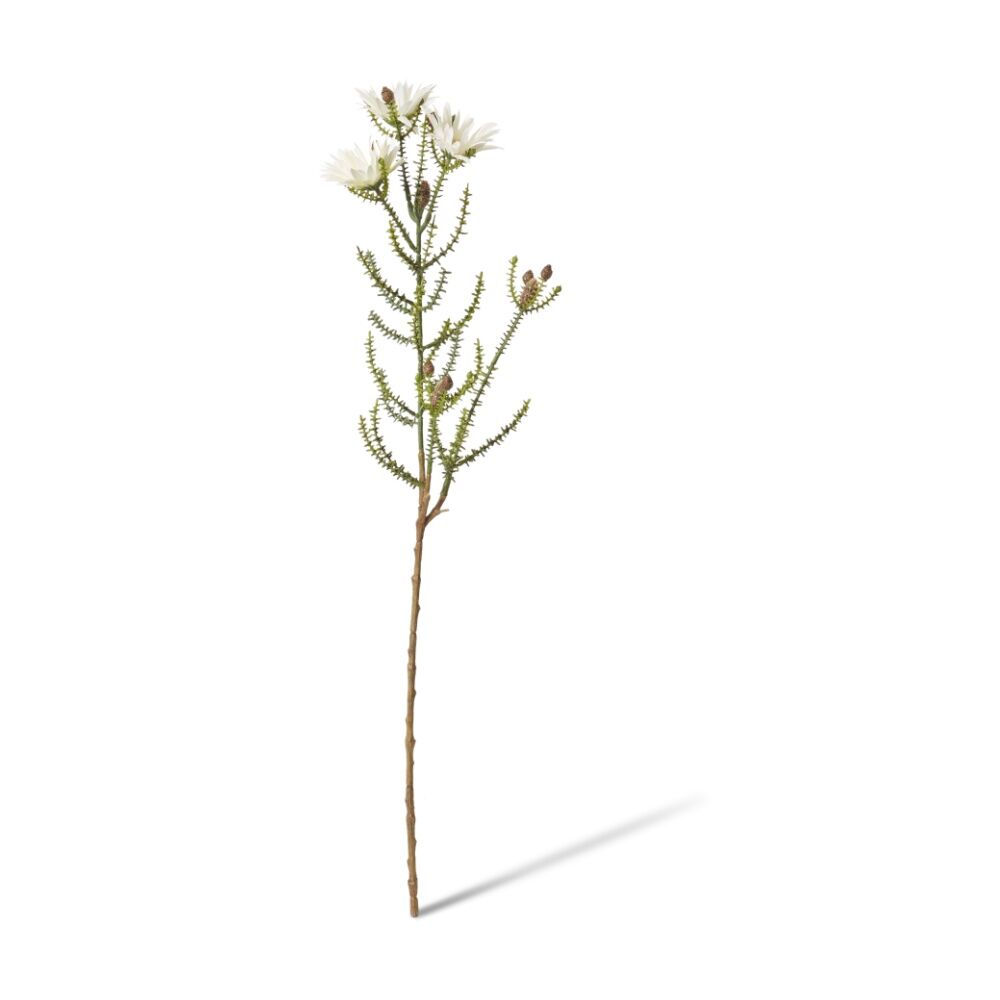 4PK E Style Kaaps Flower Spray Artificial Plant Stem White 12x14x61cm