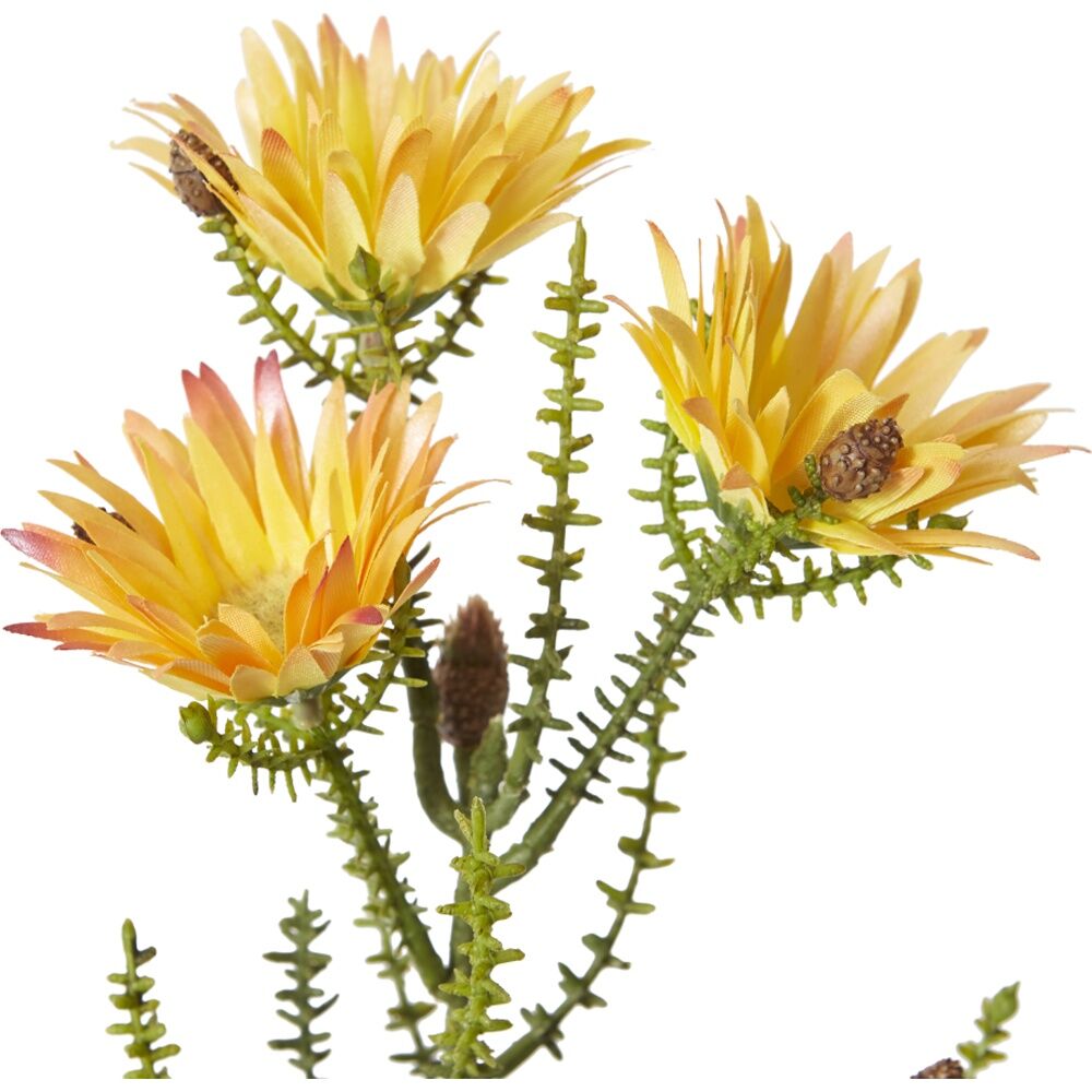 E Style Kaaps Flower Spray Artificial Plant Stem Yellow 12x14x61cm