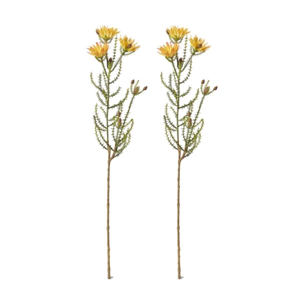 2PK E Style Kaaps Flower Spray Artificial Plant Stem Yellow 12x14x61cm