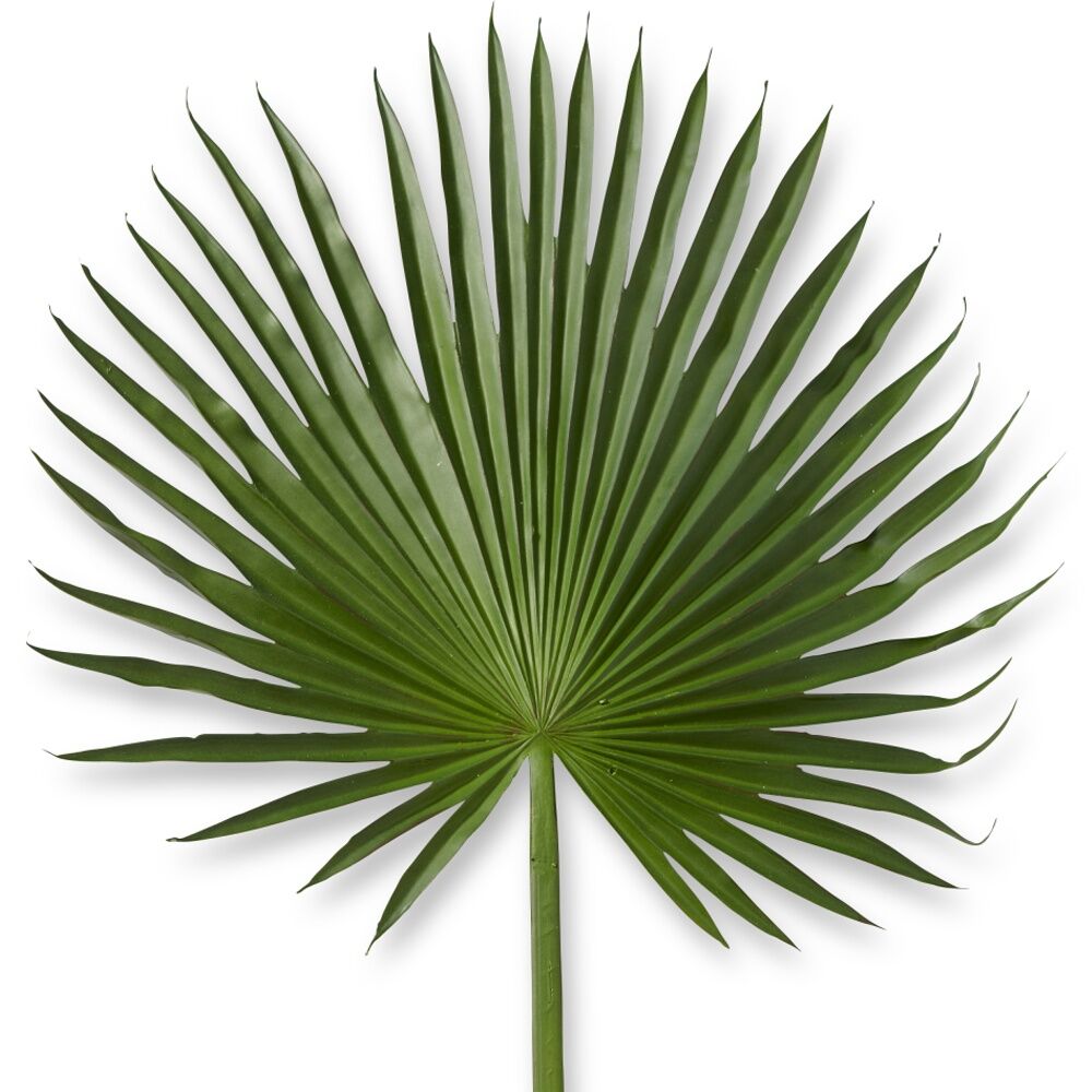 E Style Palm Fan Leaf Realistic Artificial Flower Plastic Green 45x1x112cm