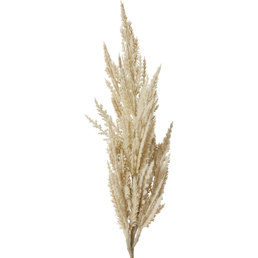 3PK E Style Pampas Grass Stem Realistic Artificial Flower Plastic Beige 83cm