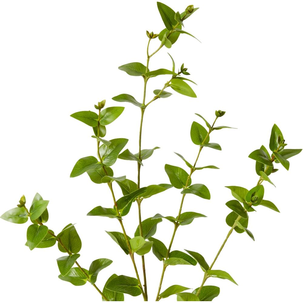 2PK E Style Hoya Leaf Spray Realistic Artificial Flower Plastic Green 84cm