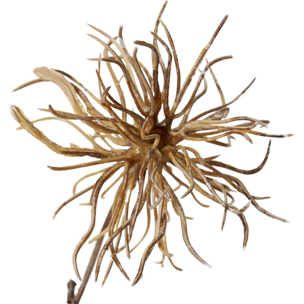 2PK E Style Thistle Wild Spray Artificial Flower Stem Brown 34x26x99cm