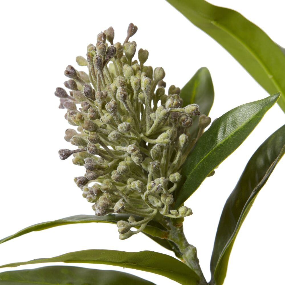 2PK E Style Skimmia Spray Artificial Flower Stem Decor Green Brown 22x18x72cm