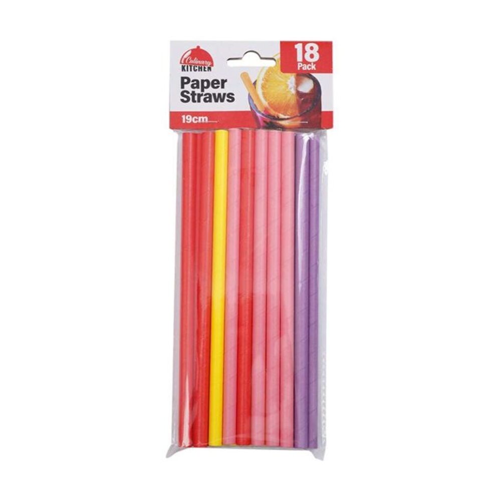 12x 18pc Braz Paper Drinking Straws Set Party Supplies 19cm Multi Colour