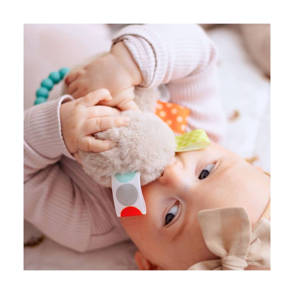 Mary Meyer Taggies Molasses Sloth Soft Plush Rattle & Silicone Teether Grey