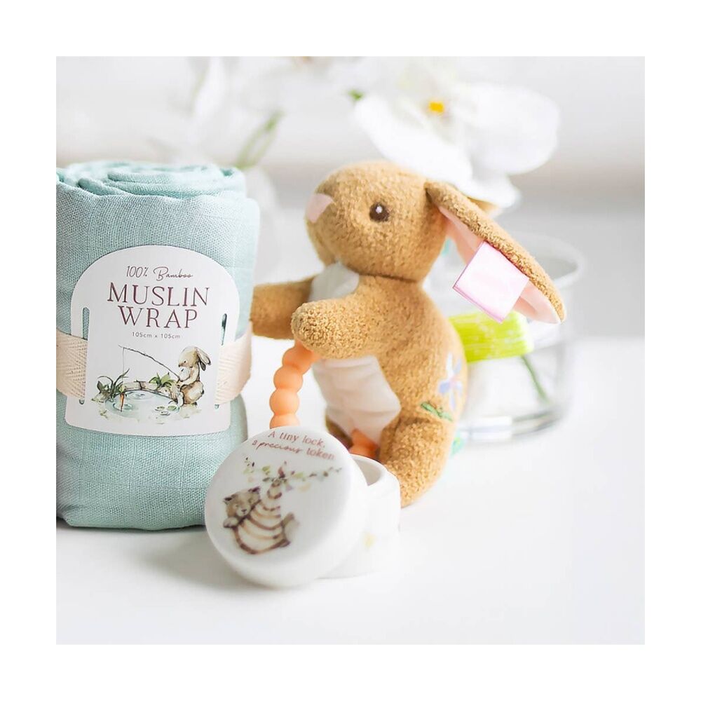 Mary Meyer Taggies Harmony Bunny Teether Soft Plush Rattle & Silicone Teether
