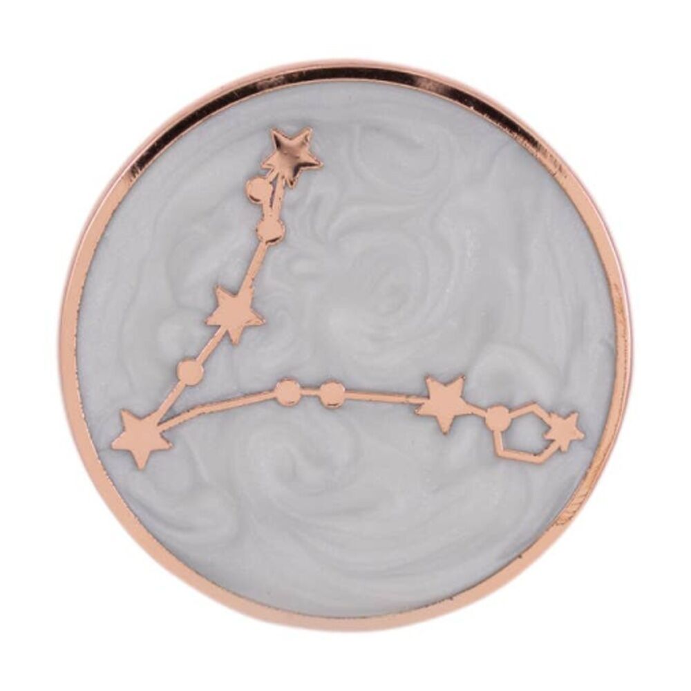 2PK Splosh Zodiac Sign Ceramic Keepsake Pin Rose Gold Enamel Pisces 3x1x2.5cm