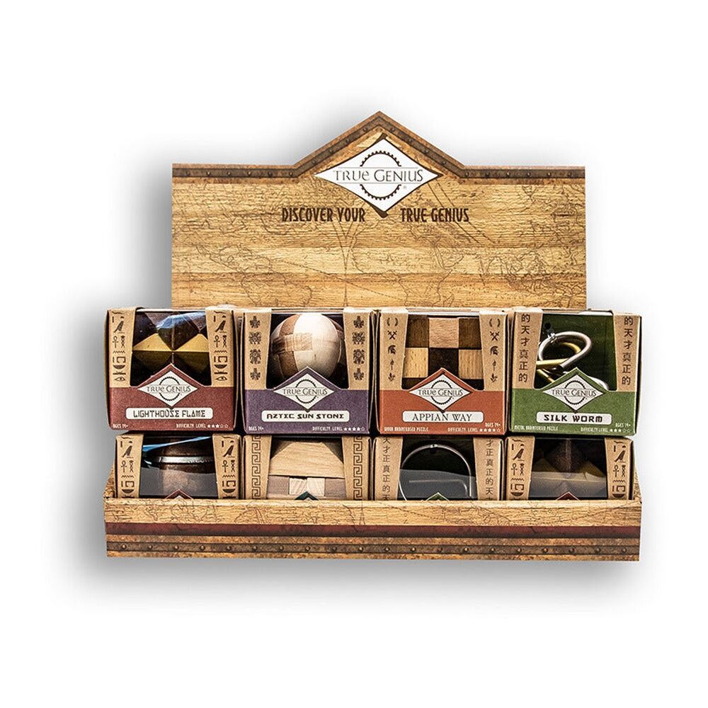Project Genius True-Genius Mini Brainteaser Puzzle 14y+ Assorted