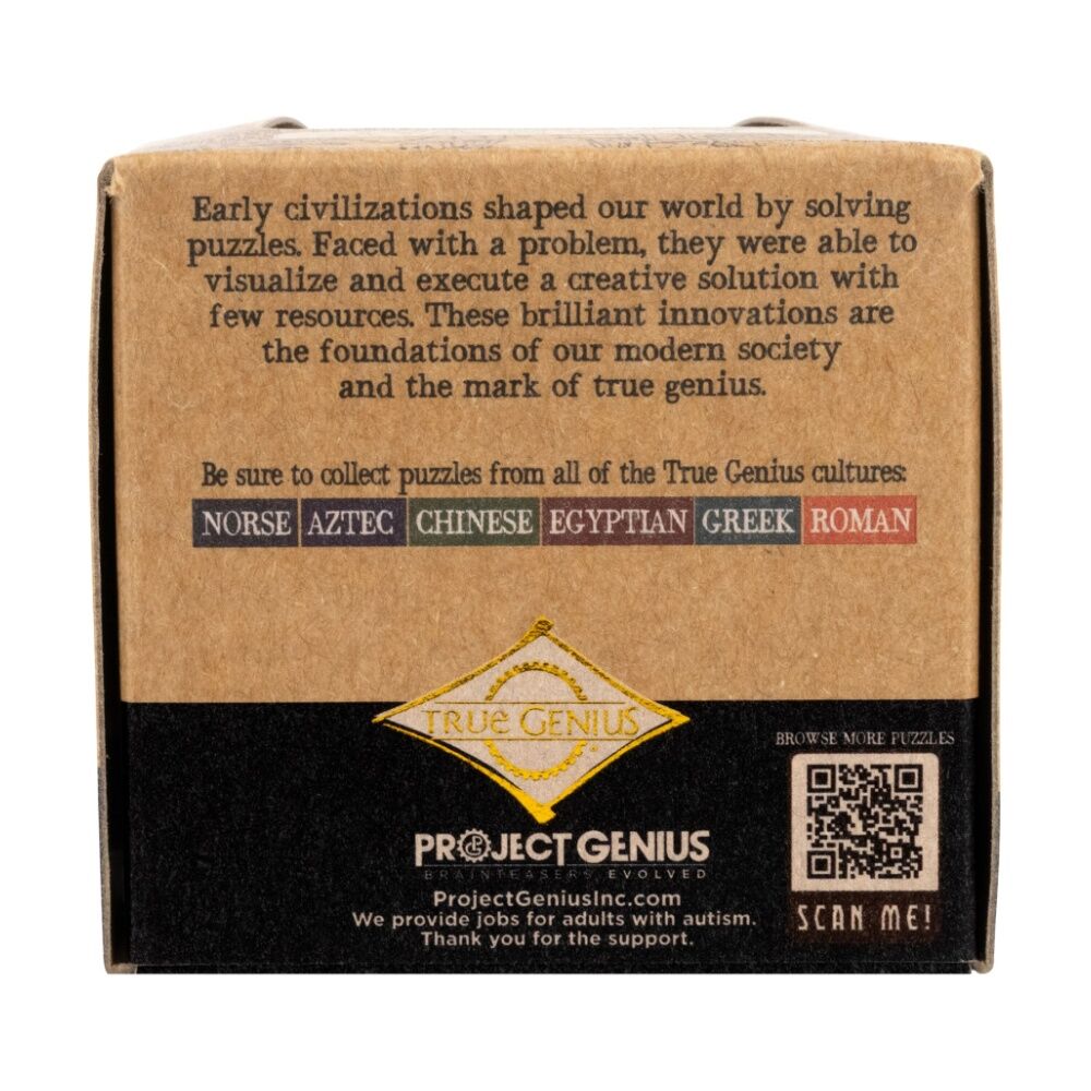 Project Genius True-Genius Mini Brainteaser Puzzle 14y+ Assorted