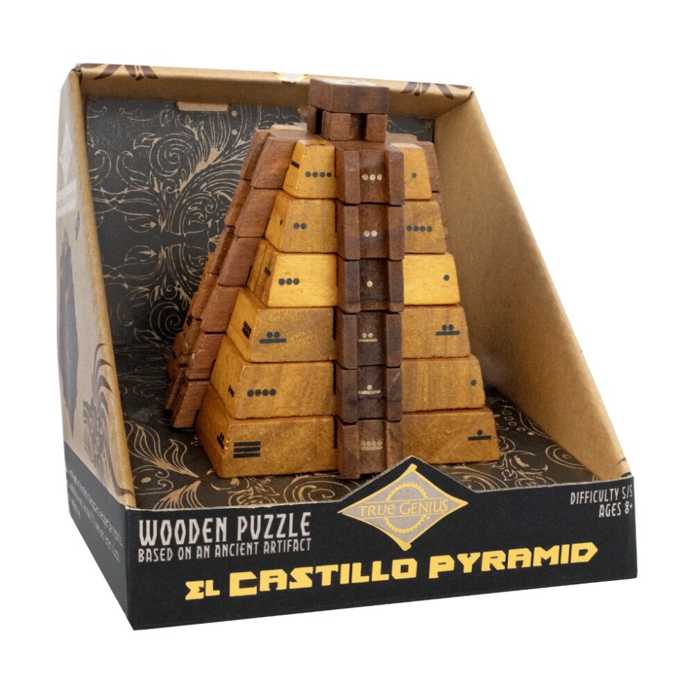 Project Genius El Castillo Pyramid Puzzle Symbol Decoding Math Challenge 8y+