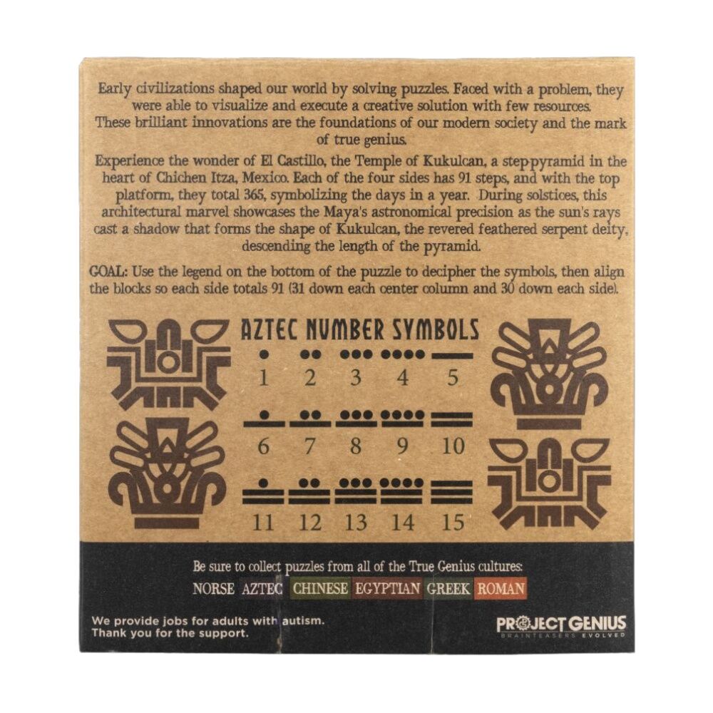 Project Genius El Castillo Pyramid Puzzle Symbol Decoding Math Challenge 8y+