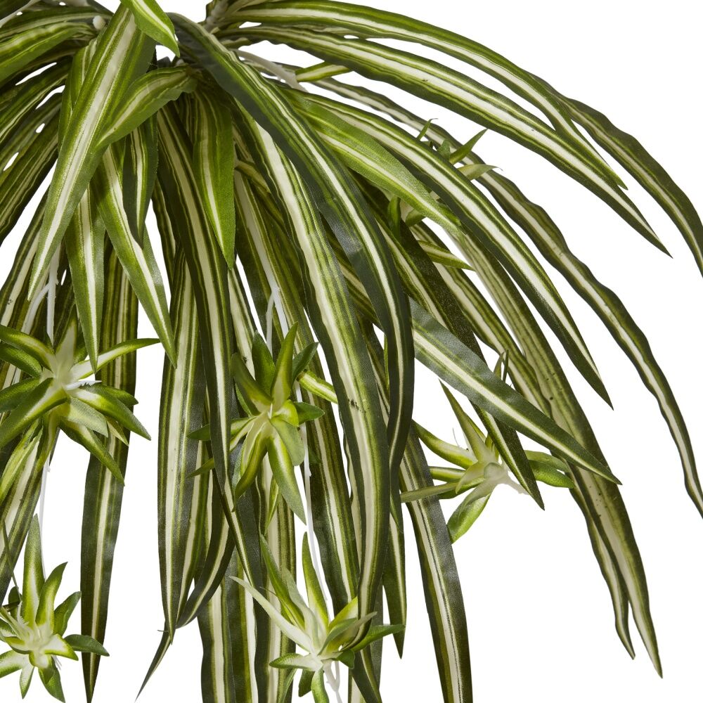 2PK E Style Spider Plant Variegated Indoor Plastic Fabric Wire 35x35x48cm