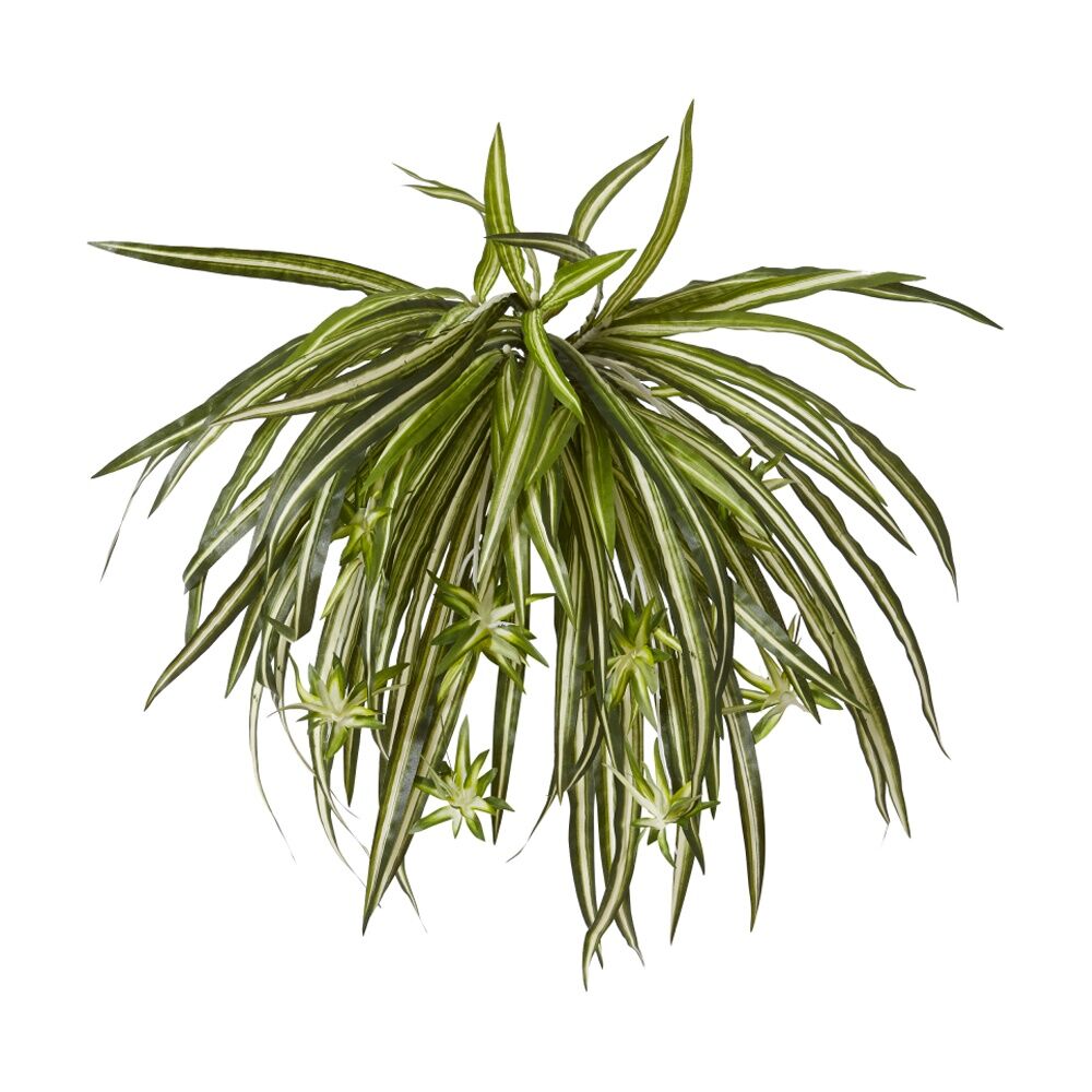 2PK E Style Spider Plant Variegated Indoor Plastic Fabric Wire 35x35x48cm