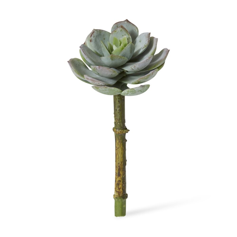 12PK E Style Echeveria Opalina Pick Artificial Succulent Stem Plastic Wire Grey