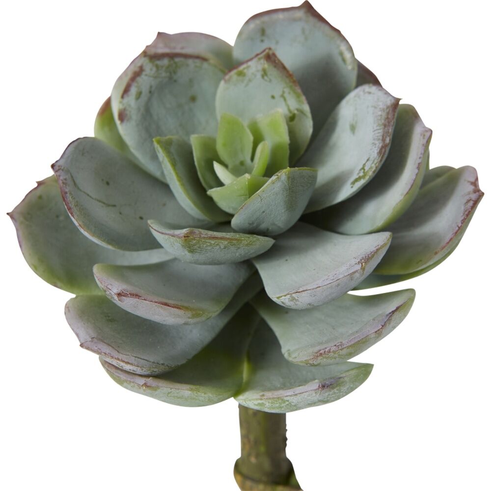 6PK E Style Echeveria Opalina Pick Artificial Succulent Stem Plastic Wire Grey