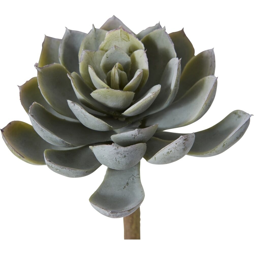 12PK E Style Echeveria Elegant Stem Artificial Succulent Wire Green 10x10x15cm