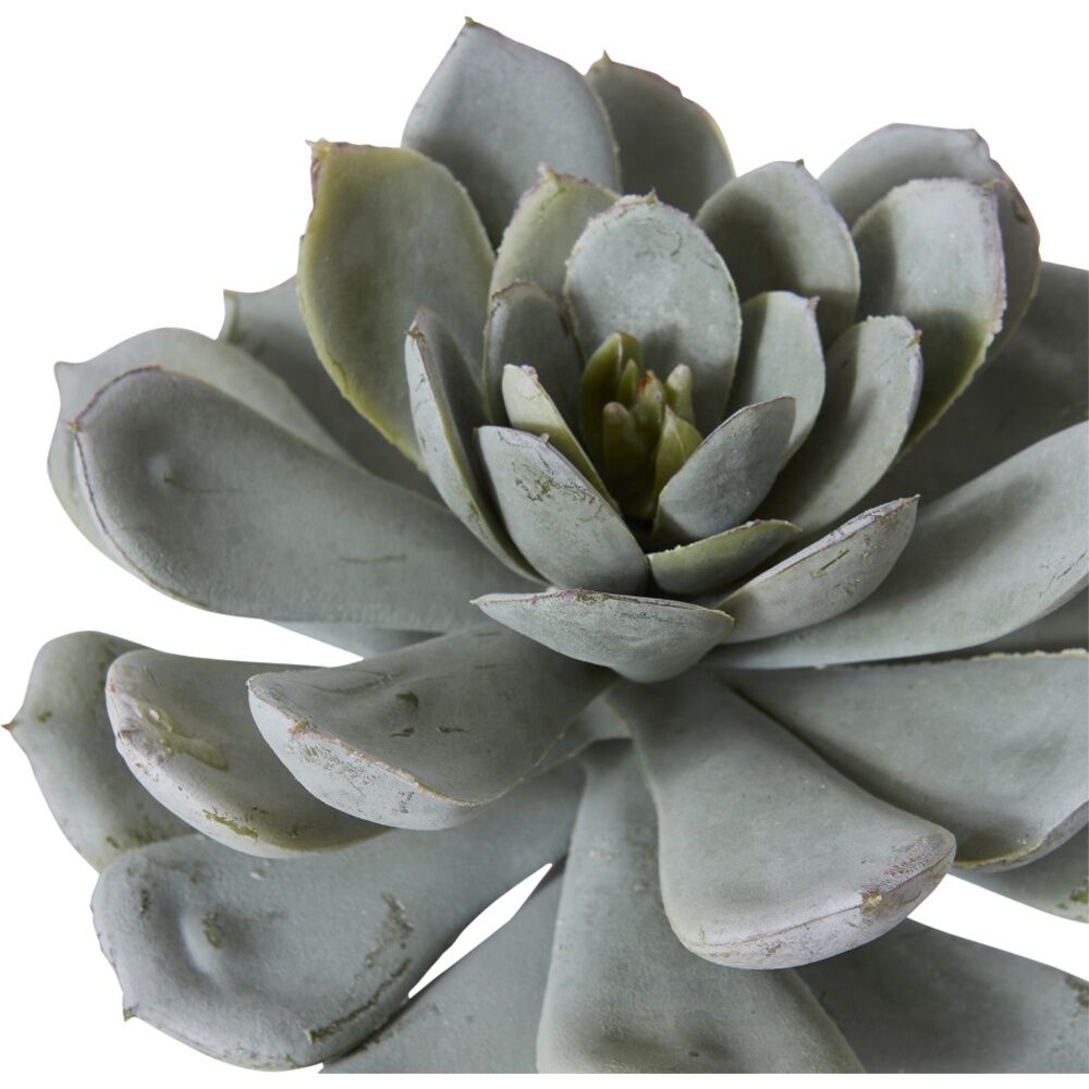 2PK E Style Echeveria Elegans Stem Artificial Succulent Wire Green 15x15x23cm