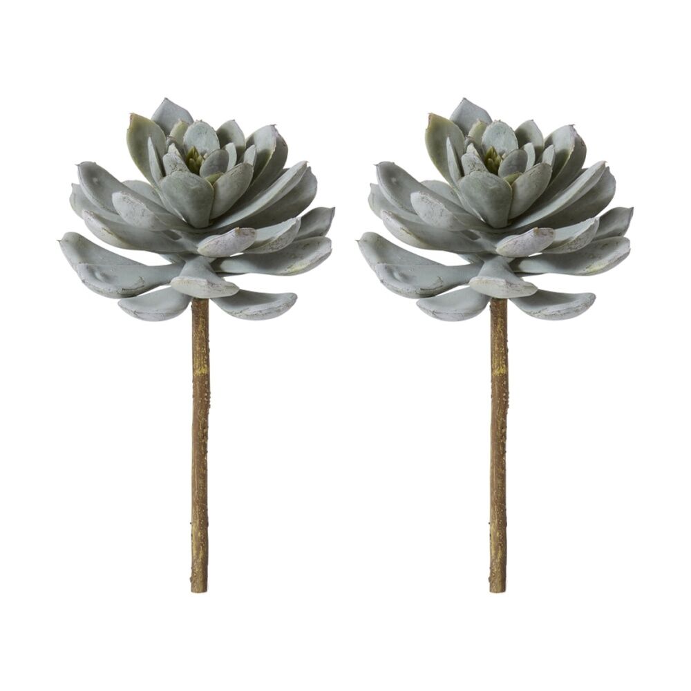 2PK E Style Echeveria Elegans Stem Artificial Succulent Wire Green 15x15x23cm