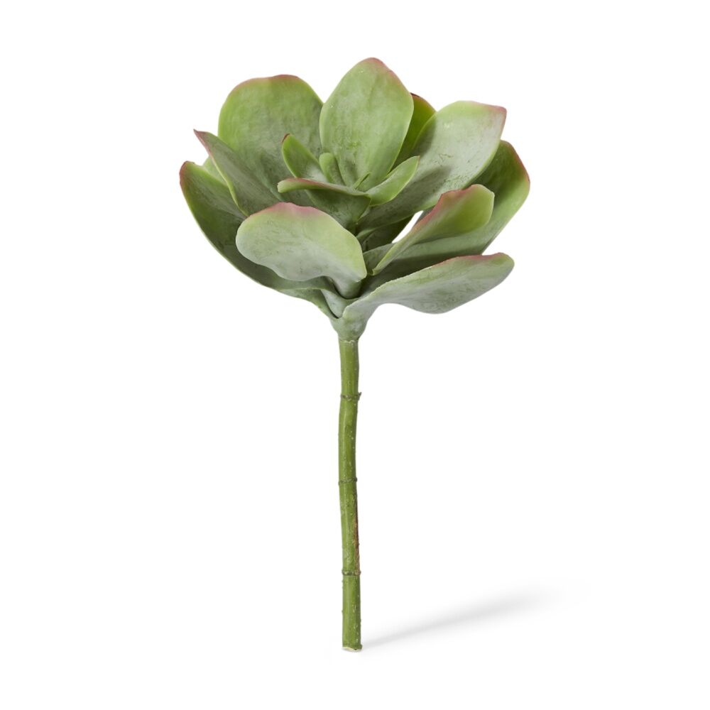 4PK E Style Flapjack Succulent Stem Artificial Plant Wire Green Red 23x23x38cm