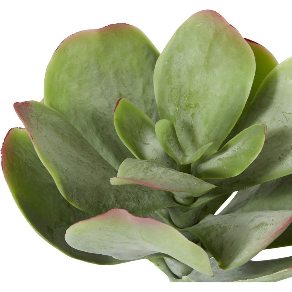 4PK E Style Flapjack Succulent Stem Artificial Plant Wire Green Red 23x23x38cm