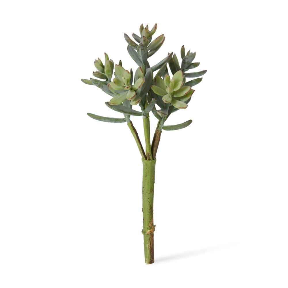 12PK E Style Sedum Nevii Pick Artificial Succulent Stem Plastic Sage 10x10x17cm