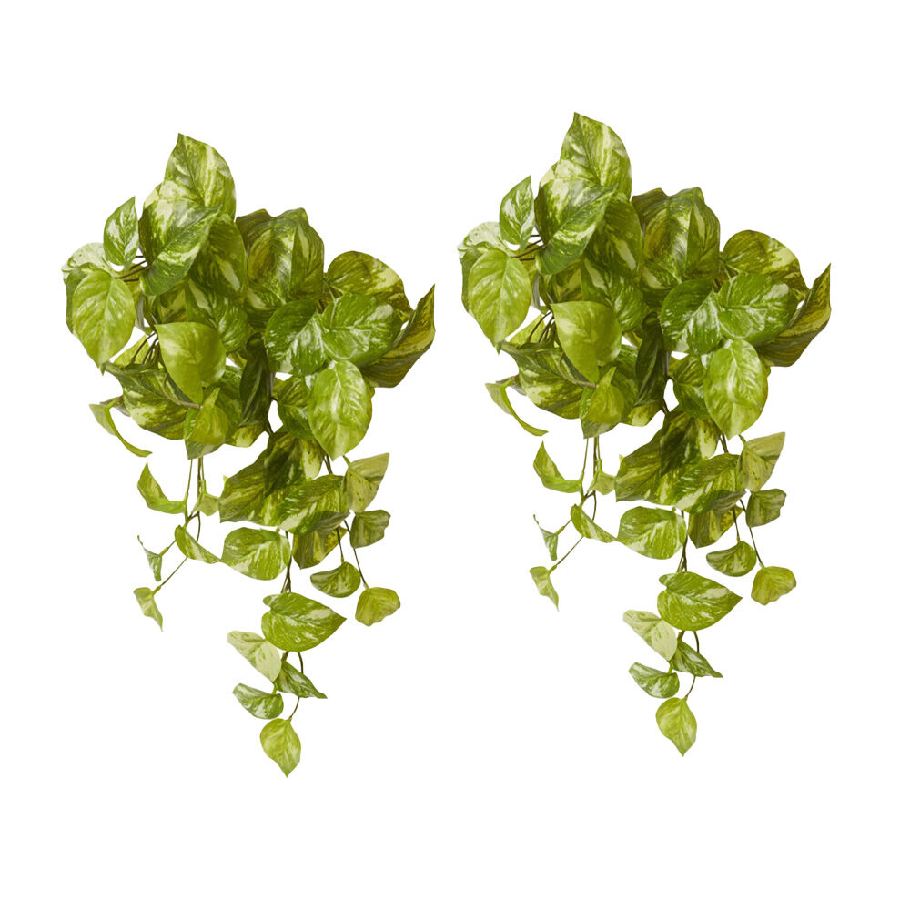2PK E Style Pothos Marble Hanging Plant Plastic Wire Green White 35x30x50cm