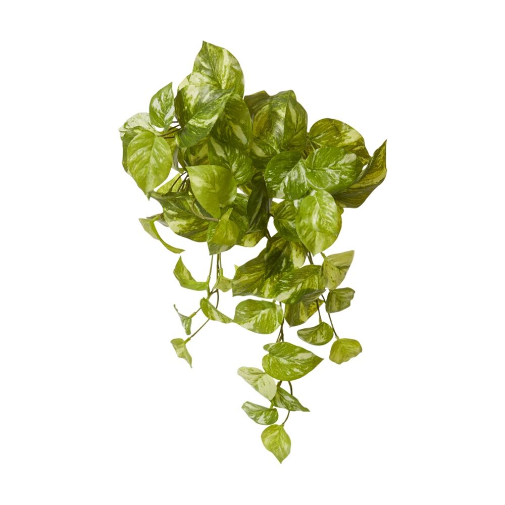 2PK E Style Pothos Marble Hanging Plant Plastic Wire Green White 35x30x50cm