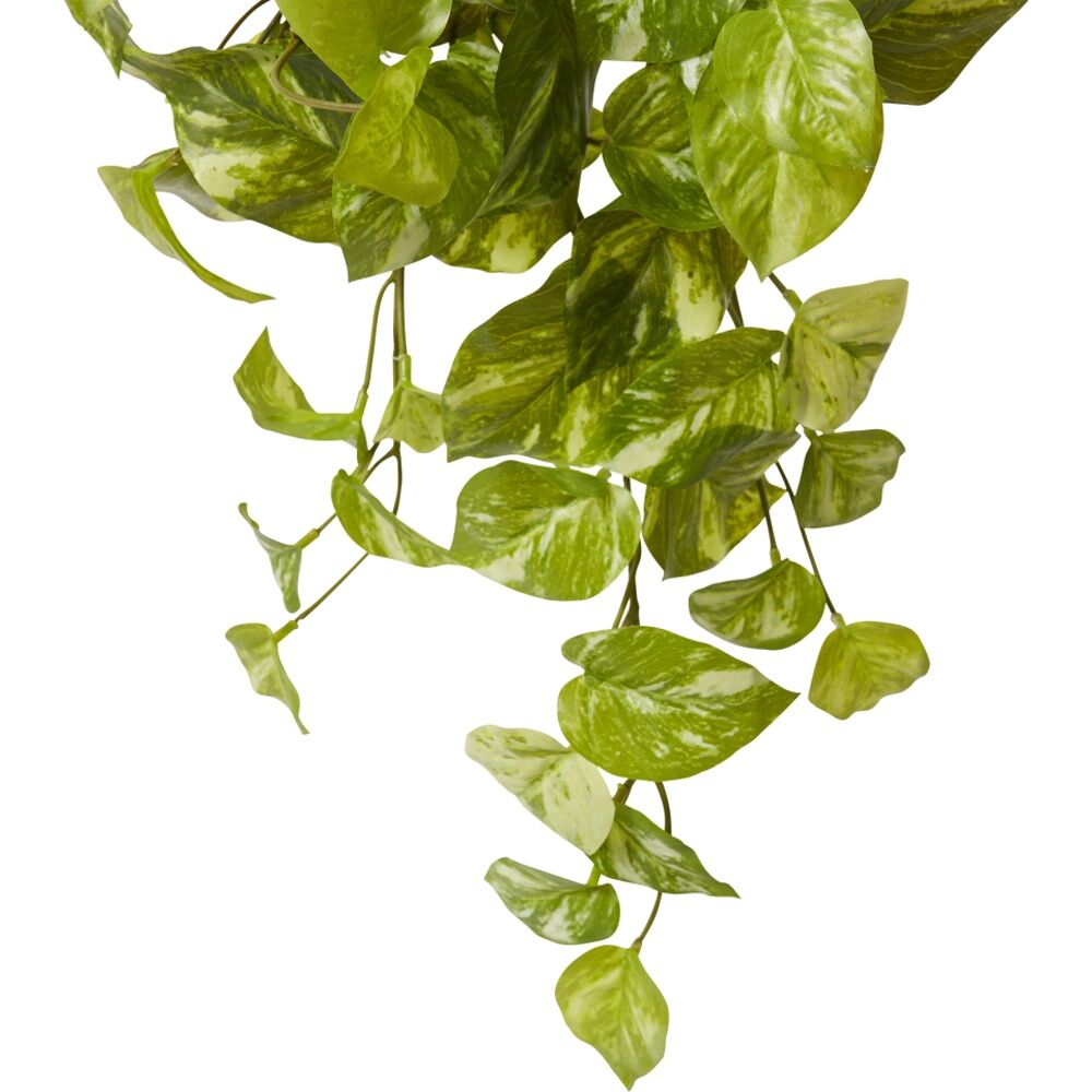 2PK E Style Pothos Marble Hanging Plant Plastic Wire Green White 35x30x50cm