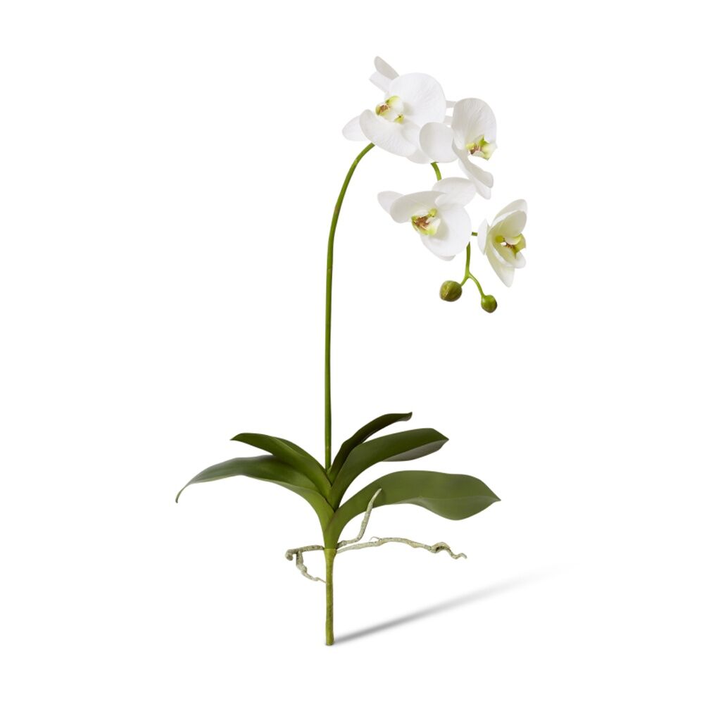 4PK E Style Phalaenopsis Deluxe Plant Artificial Indoor White Green 33x24x75cm