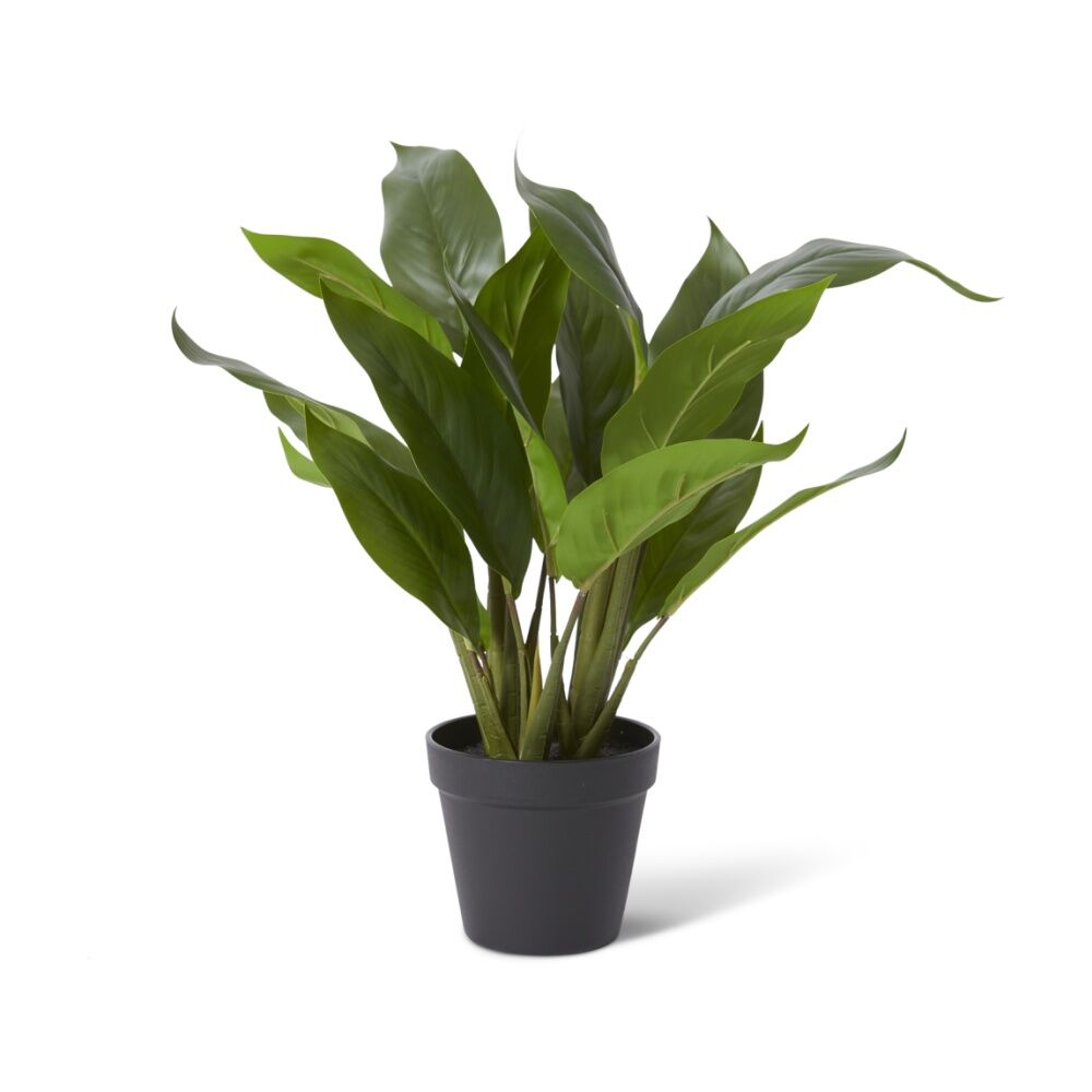 4PK E Style Lily Peace Plant Potted Plastic Fabric Wire Green 38x36x47cm