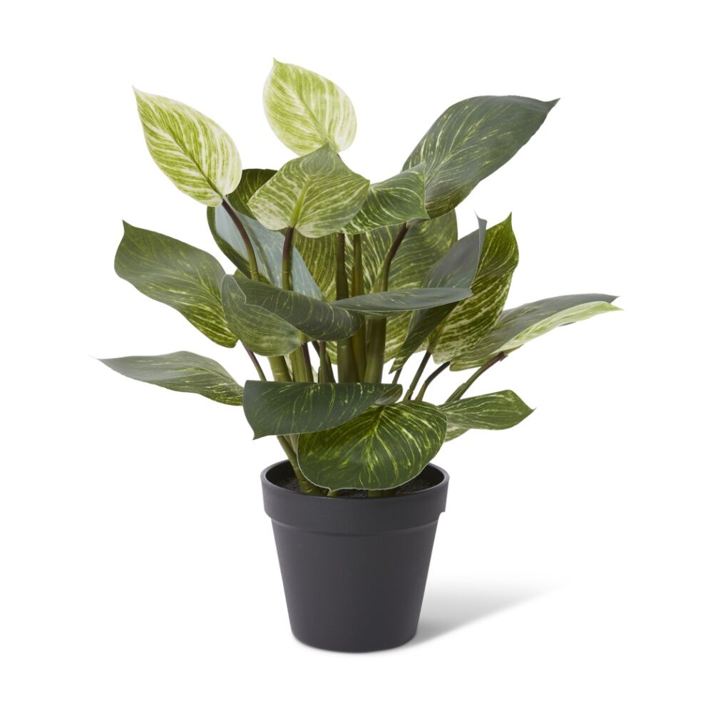 E Style Philodendron Birkin Plant Potted Plastic Wire Green 30x28x39cm