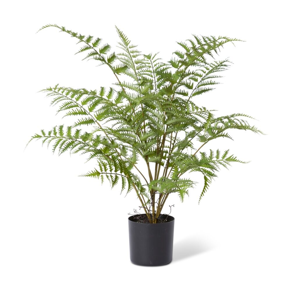 E Style Tree Fern Plant Realistic Plastic Wire Cement Green 60x60x60cm