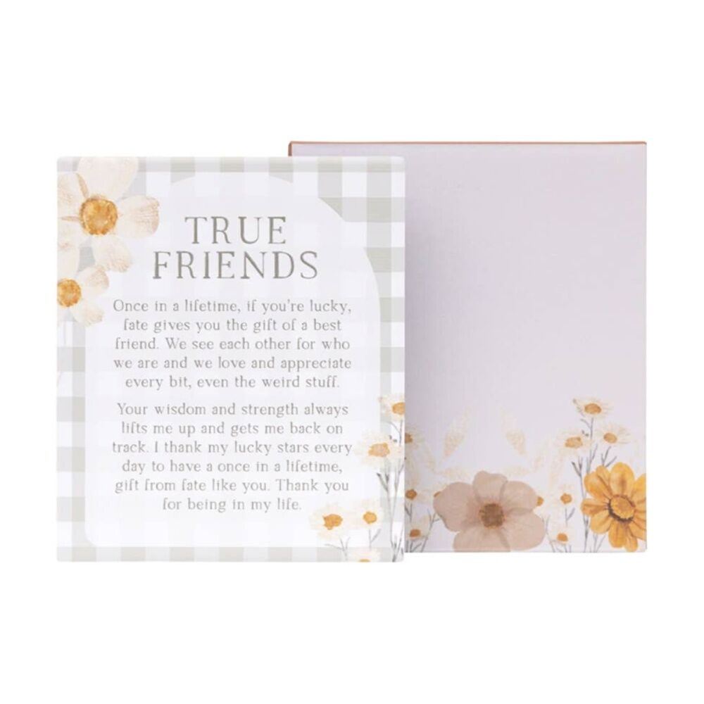 Splosh Rustic Meadow True Friends Verse Ceramic Plaque 12x14 W/ Stand & Hook