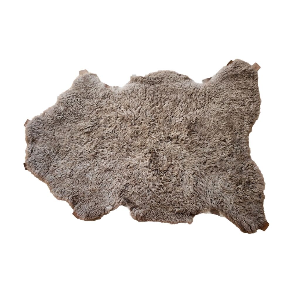 Huxford Grove Shorn Curly Sheepskin Rug For Pets Assorted 60cm